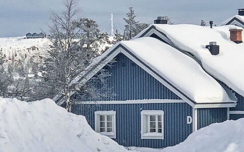 Sinitaivas: Wood, Snow, Winter, Cottage, Freezing, Home, Log Cabin, Larch, Siding