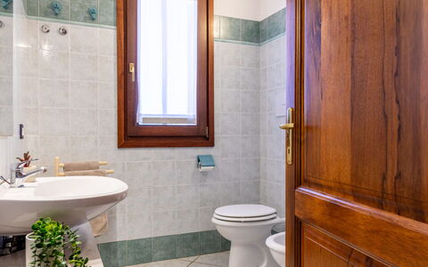 Luzi: Plumbing Fixture, Flooring, Bathroom, Floor, Toilet, Interior Design, Tap, Plumbing, Sink, Toilet Seat