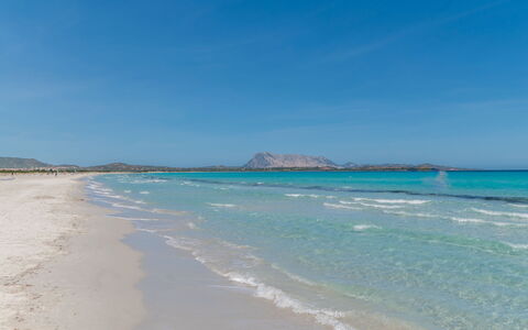 Luzi: Water, Sky, Water Resources, Cloud, Azure, Beach, Wind Wave, Horizon, Headland, Landscape