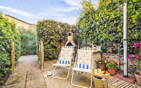 Happy Island: Shrub, Flowerpot, Garden, Outdoor Furniture, Houseplant, Chair, Backyard, Landscaping, Shade