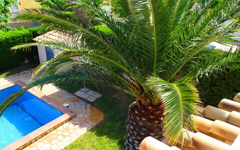 Villa Marisol: Plant, Tree, Terrestrial Plant, Arecales, Fruit, Grass, Palm Tree, Outdoor Furniture, Evergreen, Shade