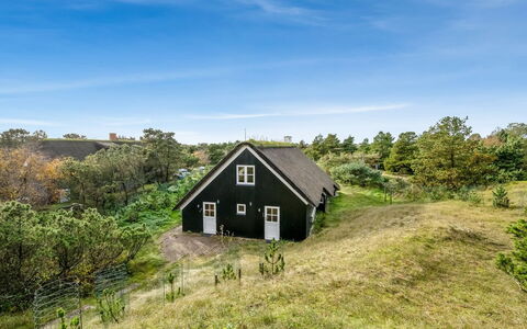 Florencia: Roof, House, Home, Cottage, Door, Siding, Deck, Porch, Plank, Hardwood