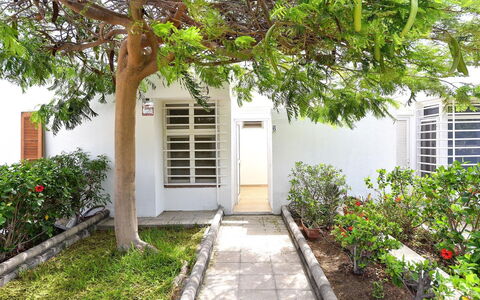 Bungalow Miami Beach Aj06: Plant, Building, Property, Leaf, Door, Window, Road Surface, Botany, Tree, Architecture