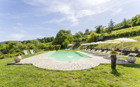 Podere Marcigliana - Radicondoli: Sky, Cloud, Water Resources, Plant, Water, Tree, Land Lot, Shade, Natural Landscape, Leisure