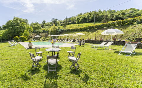 Podere Marcigliana - Radicondoli: Grass, Landscape, Land Lot, Groundcover, Garden, Spring, Meadow, Outdoor Furniture, Leisure, Lawn