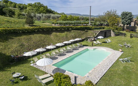 Podere Marcigliana - Radicondoli: Cloud, Plant, Water, Sky, Swimming Pool, Tree, Grass, Outdoor Furniture, Urban Design, Landscape