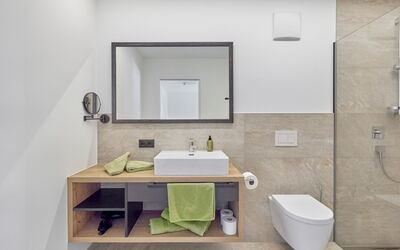 Accommodation:&nbsp;S'Groasse am Hannesnhof 166.3