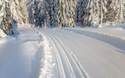 Ilotupa: Wood, Cottage, House, Home, Door, Hardwood, Garden Buildings, Wood Stain, Log Cabin, Plank
