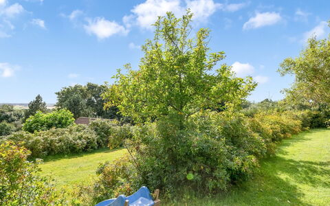 Dimo - 300M to the Fjord: Green, Leaf, Vegetation, Shrub, Land Lot, Plant Community, Rural Area, Spring, Garden, Meadow