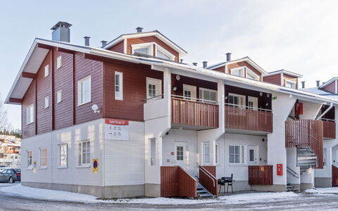 Levi Star 1001: Cottage, House, Home, Garden Buildings, Siding, Log Cabin, Farmhouse, Estate, Shed, Yard