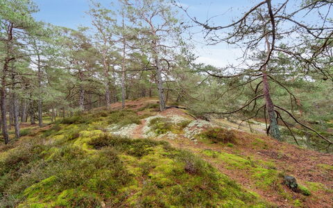 Micaela - 450M from the Sea: Wood, Roof, Architecture, Home, House, Cottage, Siding, Hardwood, Slope, Estate