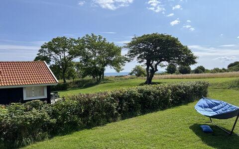 Marlies - 300M from the Sea: Grass, Grassland, Landscape, Ecoregion, Plain, Plant Community, Land Lot, Outdoor Furniture, Prairie, Shrubland