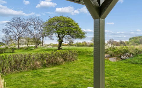 Marlies - 300M from the Sea: Grass, Grassland, Landscape, Ecoregion, Plain, Plant Community, Land Lot, Outdoor Furniture, Prairie, Shrubland