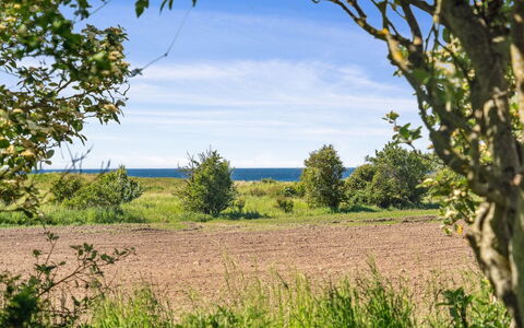 Benthe - 200M from the Sea: Roof, House, Home, Cottage, Door, Siding, Deck, Porch, Plank, Hardwood
