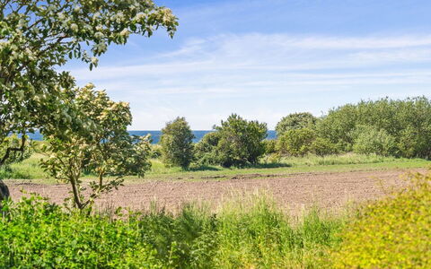 Benthe - 200M from the Sea: Roof, House, Home, Cottage, Door, Siding, Deck, Porch, Plank, Hardwood