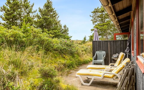 Vemund - 300M from the Sea: Grass, Grassland, Land Lot, Cottage, Rural Area, Meadow, Garden Buildings, Garden, Shed