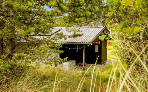 Vemund - 300M from the Sea: Grass, Grassland, Land Lot, Cottage, Rural Area, Meadow, Garden Buildings, Garden, Shed