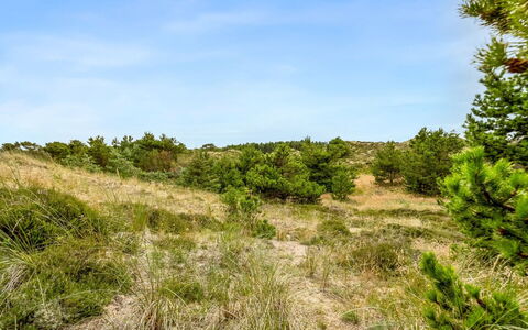 Vemund - 300M from the Sea: Grass, Grassland, Land Lot, Cottage, Rural Area, Meadow, Garden Buildings, Garden, Shed