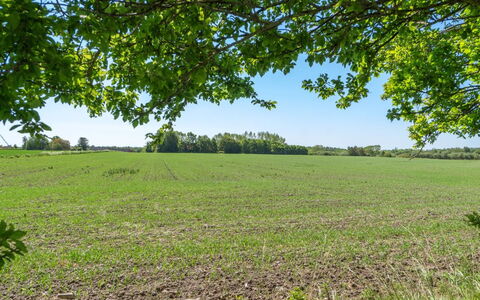 Eliane - 1.8Km from the Sea: Wood, Roof, Architecture, Home, House, Cottage, Siding, Hardwood, Slope, Estate