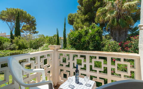 Bonita: Property, Plant, Furniture, Sky, Botany, Tree, Chair, Wood, Outdoor Furniture, Leisure