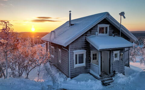Napakettu: Wood, Cottage, Log Cabin, Forest, Shed, Garden Buildings, Larch, Woodland, Wood Stain