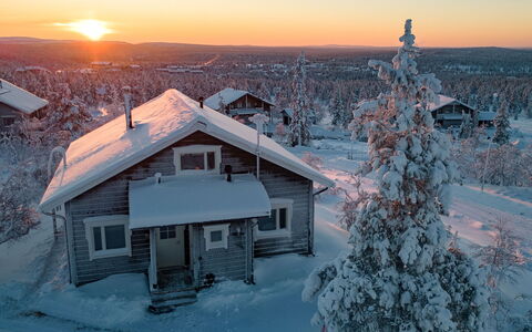 Napakettu: Wood, Cottage, Log Cabin, Forest, Shed, Garden Buildings, Larch, Woodland, Wood Stain