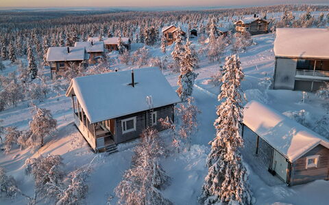 Napakettu: Wood, Cottage, Log Cabin, Forest, Shed, Garden Buildings, Larch, Woodland, Wood Stain