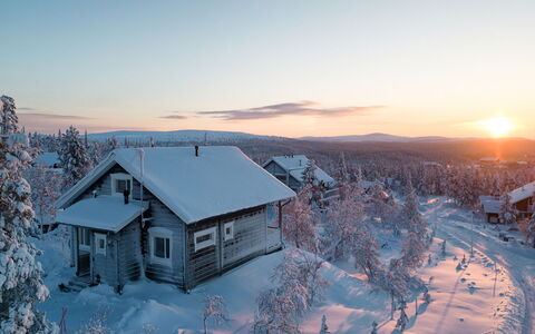 Napakettu: Wood, Cottage, Log Cabin, Forest, Shed, Garden Buildings, Larch, Woodland, Wood Stain