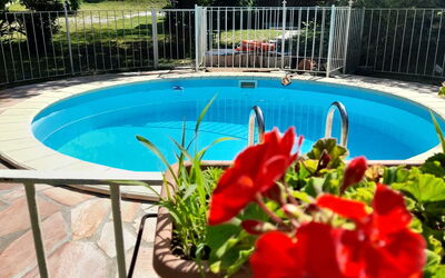 Podere Elsa: Water, Flower, Plant, Building, Swimming Pool, Flowerpot, Tree, Azure, Botany, Fence