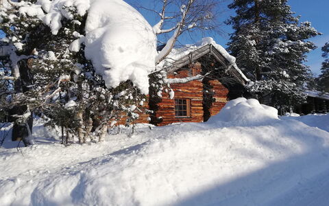 Kiilopalkinen: Snow, Winter, Wood, Branch, House, Cottage, Home, Roof, Freezing, Geological Phenomenon