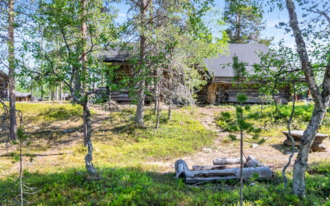 Kiilopalkinen: Wood, Land Lot, Cottage, Woodland, Hut, Log Cabin, Shack, Garden Buildings, Shed