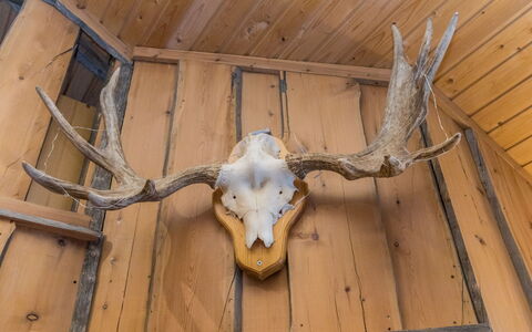 Aihki 1: Wood, Cottage, Log Cabin, Forest, Shed, Garden Buildings, Larch, Woodland, Wood Stain