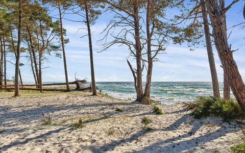 Ellynor - 600M from the Sea: Blue, Natural Environment, Wood, Coast, Beach, Coastal And Oceanic Landforms, Shore, Sea, Ocean, Sand