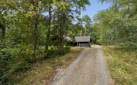 Ellynor - 600M from the Sea: Tree, Leaf, Grass, Branch, Nature, Natural Environment, Wood, Vegetation, Road
