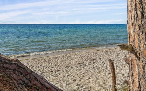Ellynor - 600M from the Sea: Blue, Water, Body Of Water, Beach, Coast, Wood, Coastal And Oceanic Landforms, Sea, Shore