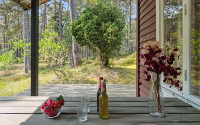 Vasil - 1.2Km from the Sea