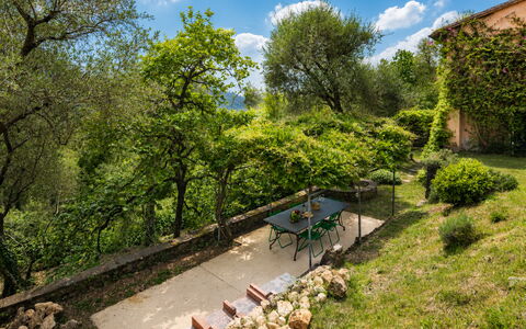 La Casa Dei Limoni, Camaiore, Pet Friendly, Wifi: Leaf, Vegetation, Shrub, Rural Area, Plant Community, Garden, Land Lot, Groundcover, Spring, Sunlight