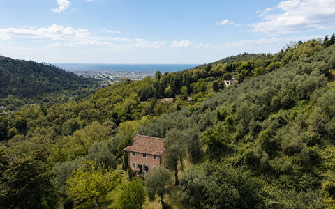La Casa Dei Limoni, Camaiore, Pet Friendly, Wifi: Leaf, Natural Environment, Nature, Vegetation, Natural Landscape, Hill, Highland, Landscape, Ecoregion, Plant Community
