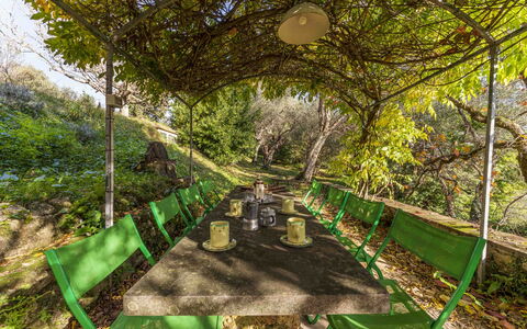 La Casa Dei Limoni, Camaiore, Pet Friendly, Wifi: Plant, Plant Community, Green, Natural Landscape, Terrestrial Plant, Tree, Grass, Shade, Woody Plant, Leisure