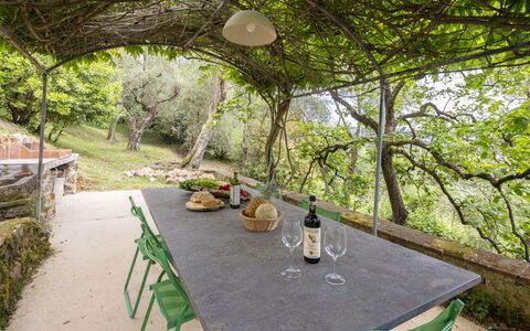 La Casa Dei Limoni, Camaiore, Pet Friendly, Wifi: Furniture, Outdoor Table, Outdoor Furniture, Garden, Sunlight, Shade, Chair, Kitchen & Dining Room Table, Backyard