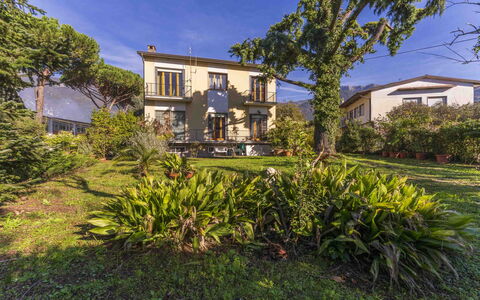Casa Vacanza Mais - Camaiore, Toscana: Plant, Building, Sky, Window, Plant Community, Azure, Tree, House, Land Lot, Arecales