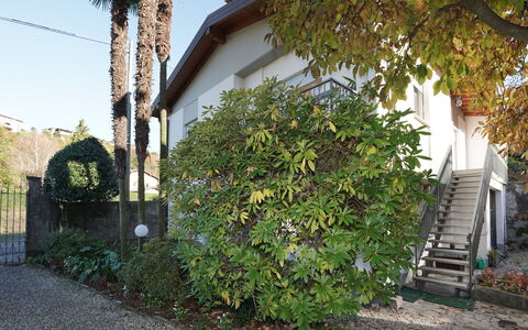 Erica: Sky, Plant, Building, Window, Tree, Swimming Pool, House, Residential Area, Leisure, Urban Design