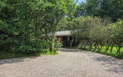 Aage: Grass, Wood, Rural Area, Shrub, Cottage, Roof, Plain, Land Lot, Home, Groundcover