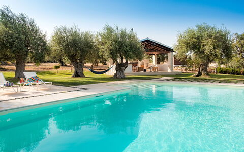 Corte Carrubo - Rosolini, Sicilia: Water, Sky, Plant, Water Resources, Azure, Swimming Pool, Tree, Natural Landscape, Shade, Grass