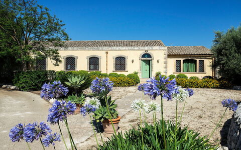 Casa Colore - Siracusa, Sicilia: Flower, Plant, Sky, Building, Property, Window, Botany, Azure, House, Tree