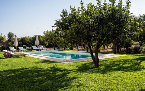 Casa Colore - Siracusa, Sicilia: Plant, Sky, Water, Building, Tree, Swimming Pool, Shade, Natural Landscape, Leisure, Grass