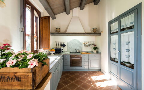 Casa Colore - Siracusa, Sicilia: Flower, Cabinetry, Countertop, Property, Plant, Window, Interior Design, Kitchen Stove, Kitchen, Architecture