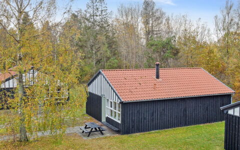 Rubi - 250M from the Sea: Grass, Grassland, Landscape, Ecoregion, Plain, Plant Community, Land Lot, Outdoor Furniture, Prairie, Shrubland