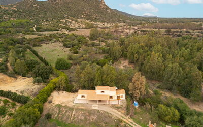 Eucalipto - Muravera, Sardinia, Italy