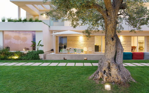 Splendida - Modica, Sicilia: Plant, Property, Tree, Building, Land Lot, Flooring, Grass, Leisure, Real Estate, Arecales